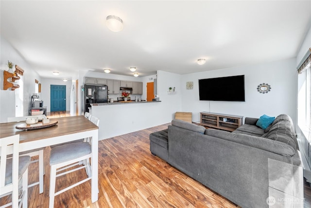 living area with light wood-type flooring