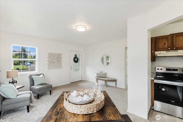 interior space with light carpet