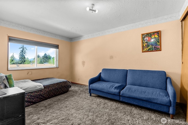 carpeted bedroom with a textured ceiling