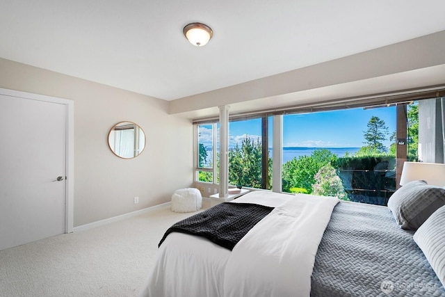 carpeted bedroom with multiple windows, a water view, and baseboards
