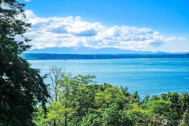 water view featuring a mountainous background