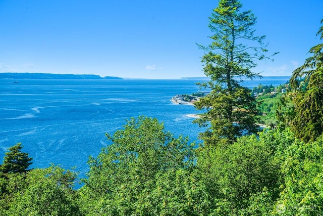 water view