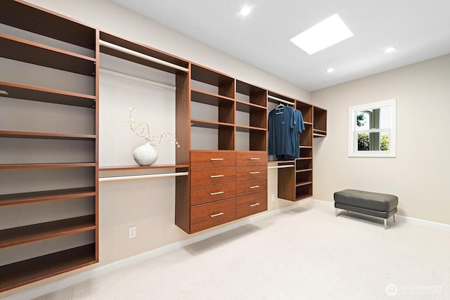 spacious closet featuring carpet flooring