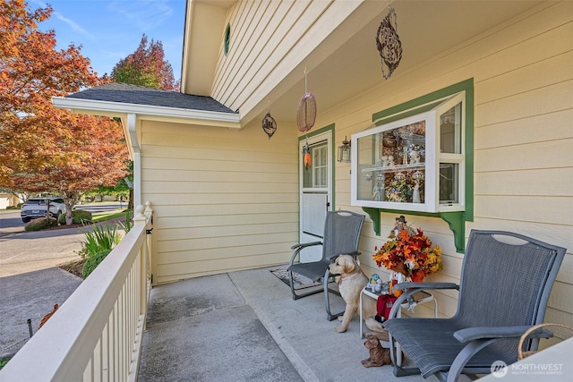view of patio / terrace with covered porch