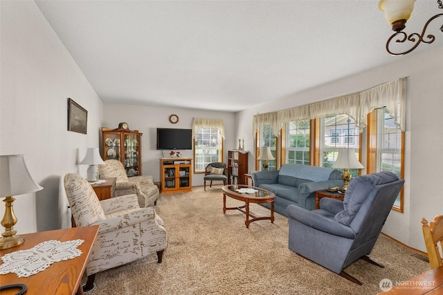 view of carpeted living area
