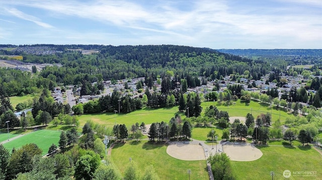 1718 33rd St SE, Auburn, WA 98002 - drone / aerial view of a forest