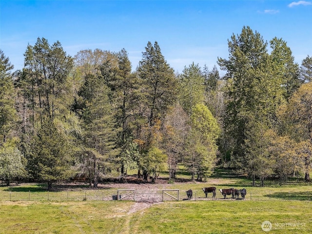 5061 Jackson Hwy, Toledo, WA 98591 - photo 4