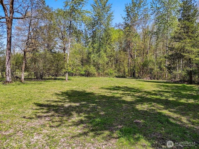 5061 Jackson Hwy, Toledo, WA 98591 - photo 39