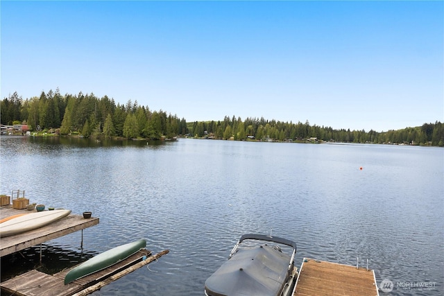 23821 S Lake Roesiger Rd, Snohomish, WA 98290 - view of dock with a water view and a forest view