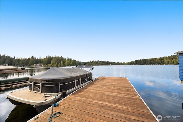23821 S Lake Roesiger Rd, Snohomish, WA 98290 - view of dock with a water view
