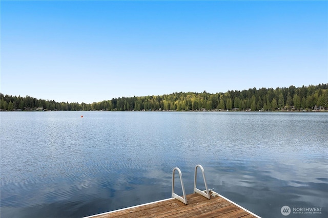 23821 S Lake Roesiger Rd, Snohomish, WA 98290 - dock area with a water view and a view of trees