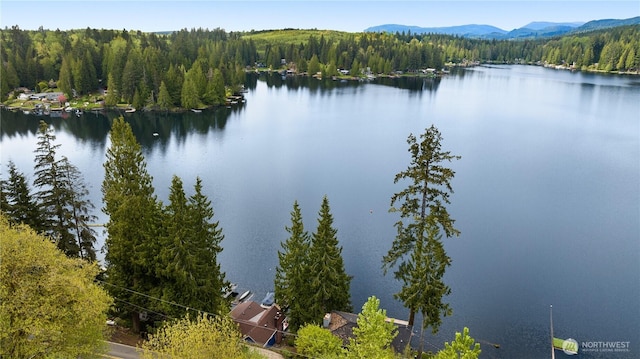 23821 S Lake Roesiger Rd, Snohomish, WA 98290 - water view with a view of trees and a mountain view