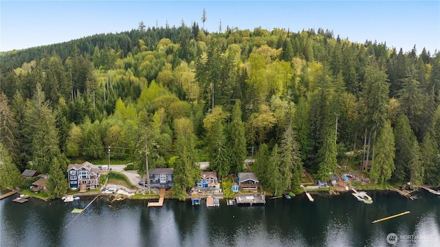 23821 S Lake Roesiger Rd, Snohomish, WA 98290 - birds eye view of property featuring a water view and a wooded view