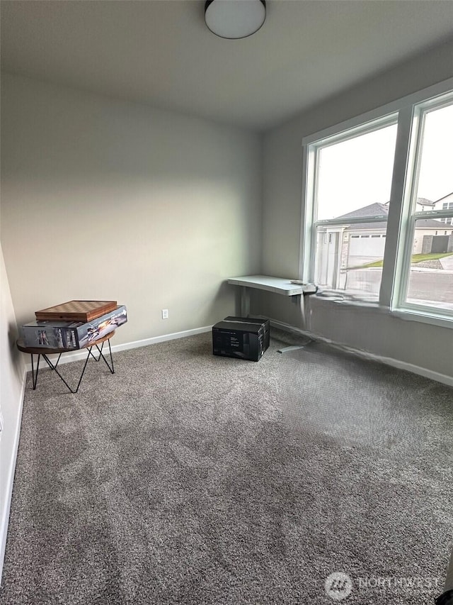 miscellaneous room featuring baseboards and carpet floors