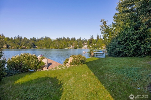 6917 Olive Ave, Stanwood, WA 98292 - photo 25