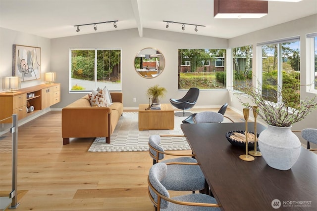 interior space with rail lighting