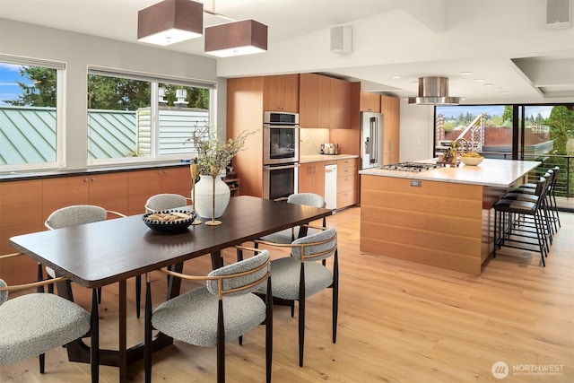 dining room featuring light wood-style floors