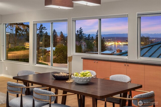 sunroom with plenty of natural light