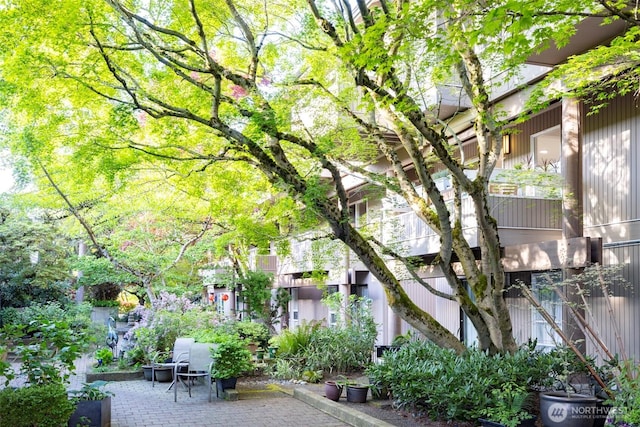 view of community with a patio area
