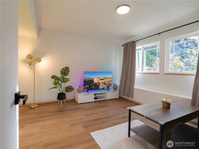 living room with baseboards and light wood finished floors