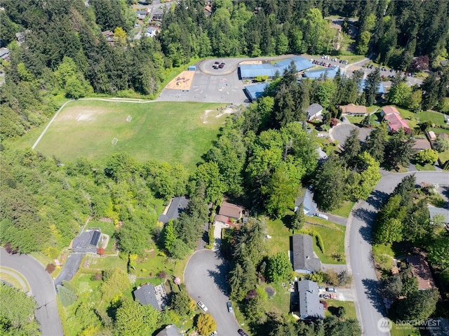 bird's eye view