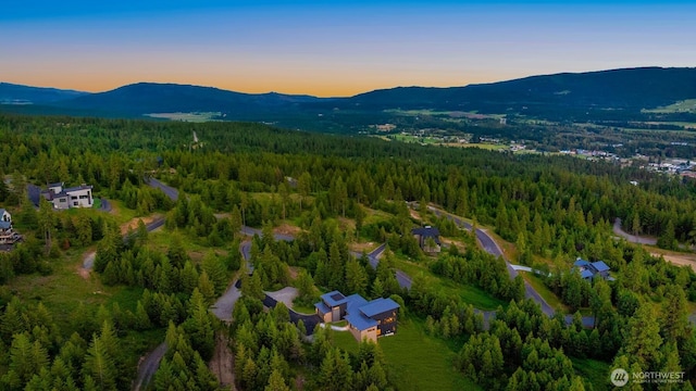 drone / aerial view featuring a mountain view and a forest view