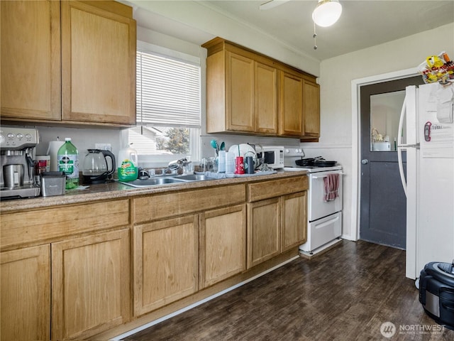 kitchen featuring dark wood-type flooring, a sink, a ceiling fan, and white appliances