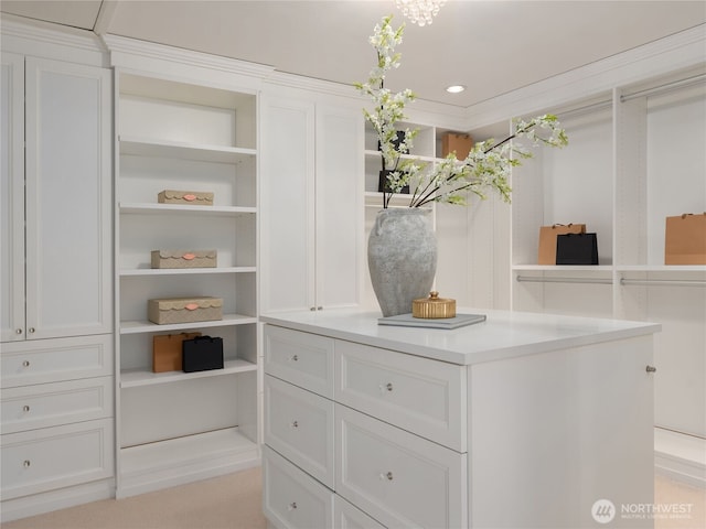 view of walk in closet