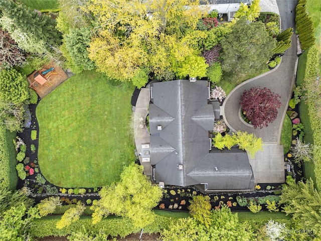 bird's eye view
