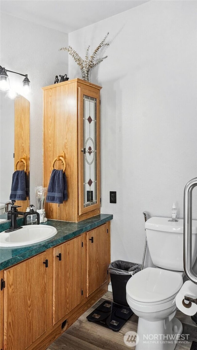 bathroom featuring toilet, vanity, and wood finished floors