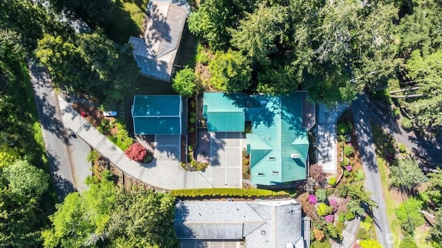 bird's eye view