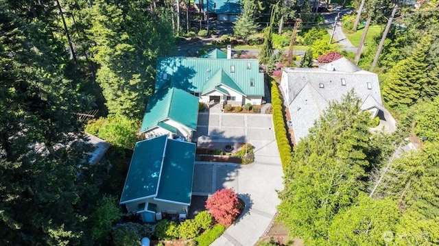 bird's eye view