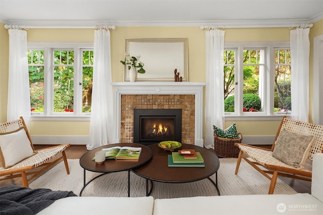 sitting room featuring baseboards, a wealth of natural light, and wood finished floors