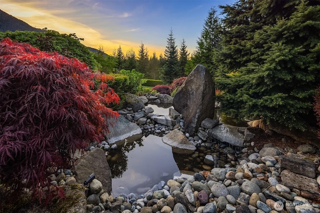 15803 Uplands Way SE, North Bend, WA 98045 - view of undeveloped land featuring a small pond