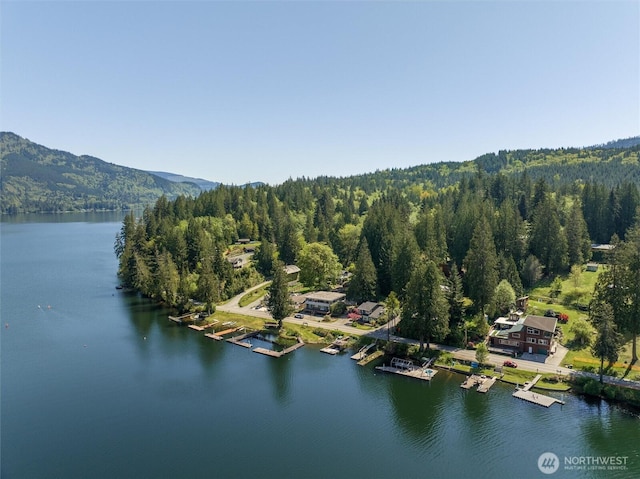 birds eye view of property with a water and mountain view and a forest view