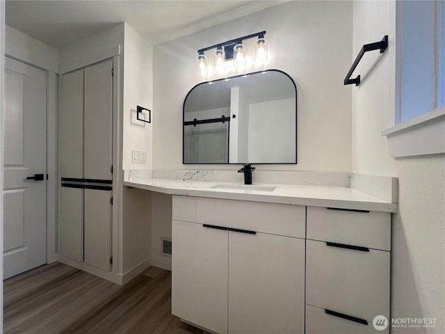 bathroom featuring wood finished floors and vanity