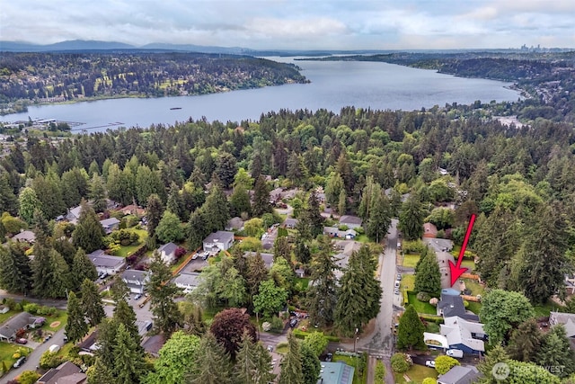 18733 50th Ave NE, Lake Forest Park, WA 98155 - aerial view of property's location featuring a large body of water and a forest