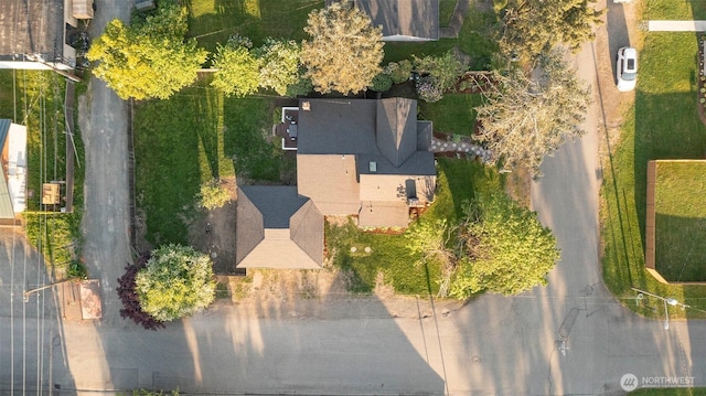 bird's eye view