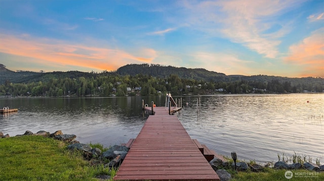dock area featuring a water view and a view of trees