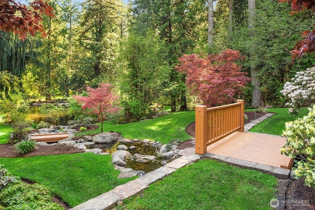 view of yard featuring a deck