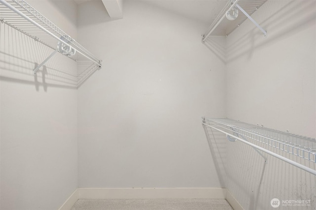 view of walk in closet