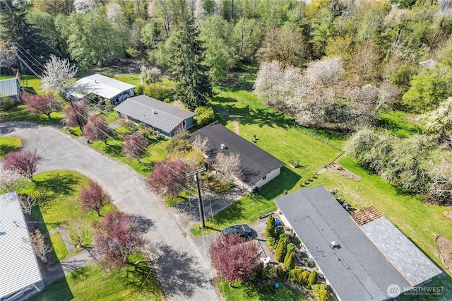 drone / aerial view
