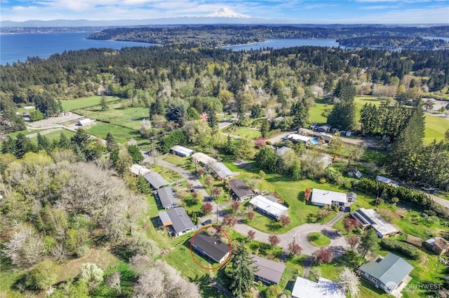 drone / aerial view with a water view and a forest view