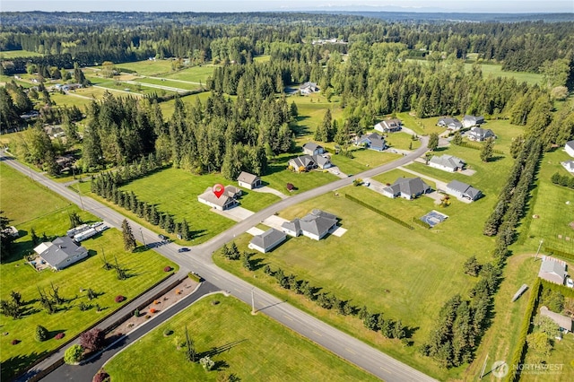 drone / aerial view