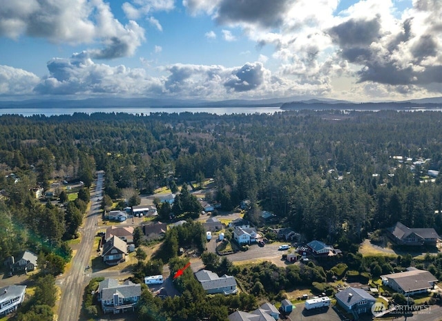 30515 K Pl, Ocean Park, WA 98640 - photo 19