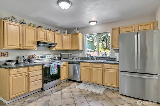 kitchen featuring a sink, dark countertops, stainless steel appliances, and under cabinet range hood