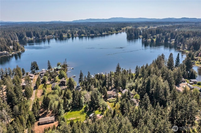 birds eye view of property featuring a forest view and a water view
