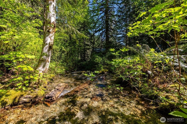 view of nature