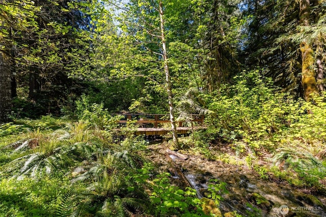 view of nature with a forest view