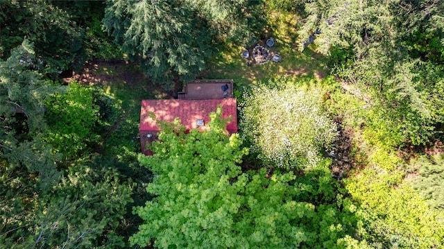 bird's eye view